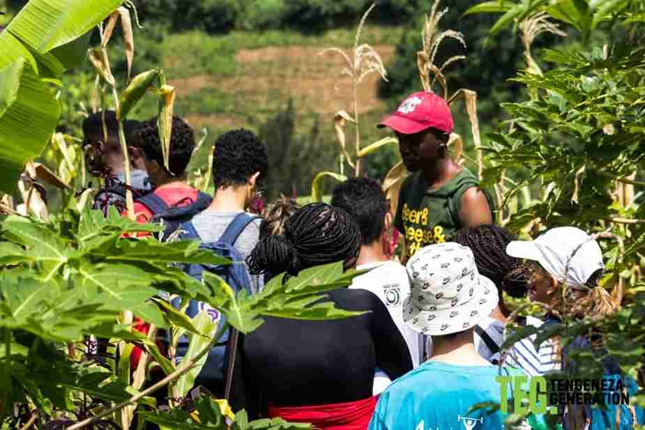 Youth Skills Training Program