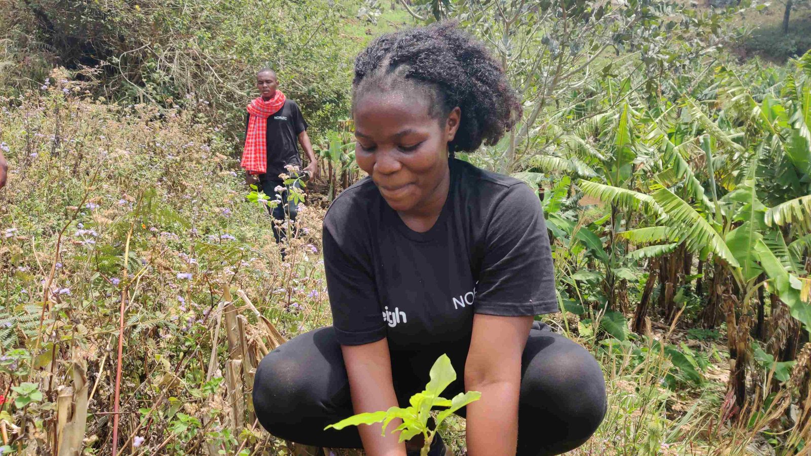 Community Engagement